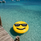 Too Cool Float